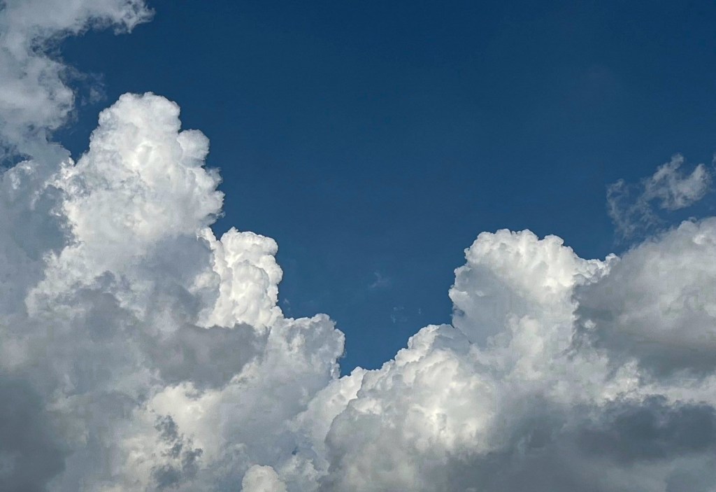 My purposes of utilizing&nbsp;LLMs